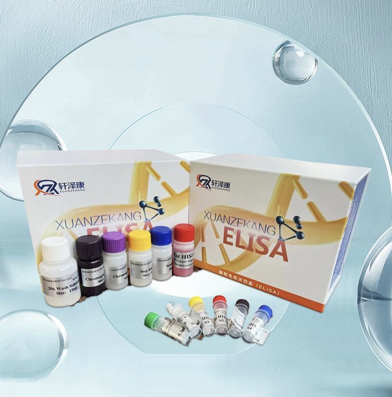 人S100A11鈣結(jié)合蛋白（S100A11）ELISA檢測(cè)試劑盒